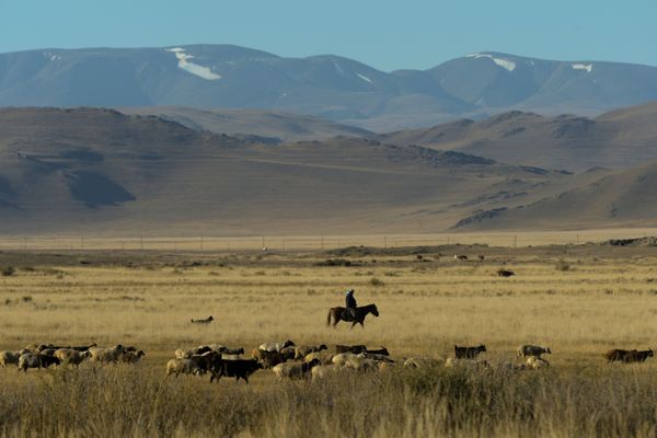 Golden Mountains: Breathtaking Landscapes of Russia’s Altai - Sputnik International