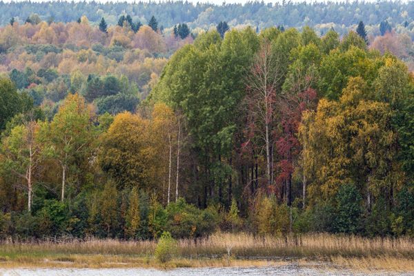 Russian Kizhi: The Eighth Wonder of the World - Sputnik International