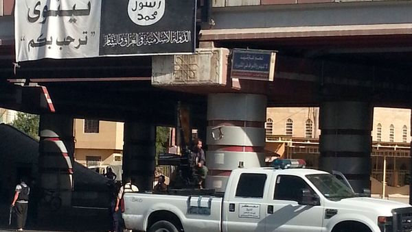 A fighter from the Islamic State, formerly known as the Islamic State of Iraq and the Levant (ISIL), mans an anti-aircraft gun mounted on the rear of a vehicle in Mosul July 16, 2014 - Sputnik International