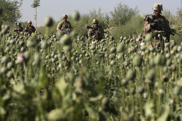 U.S. Marines, from the 24th Marine Expeditionary Unit, pass by a poppy field as they patrol near the town of Garmser in Helmand Province, Afghanistan (File) U.S. Marines, from the 24th Marine Expeditionary Unit, pass by a poppy field as they patrol near the town of Garmser in Helmand Province, Afghanistan (File) - Sputnik International