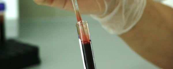 DNA DNA - Sputnik International