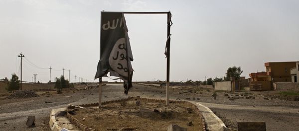 Partially destroyed DAESH banner hangs at the entrance to Qayara, Iraq (File) Partially destroyed DAESH banner hangs at the entrance to Qayara, Iraq (File) - Sputnik International