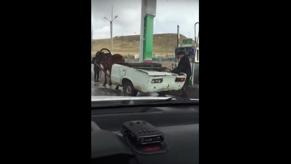 This is How You Refuel a Horse - Sputnik International