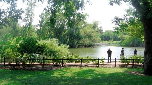 Human Head in Garbage Bag Found Floating in Chicago Park - Sputnik International
