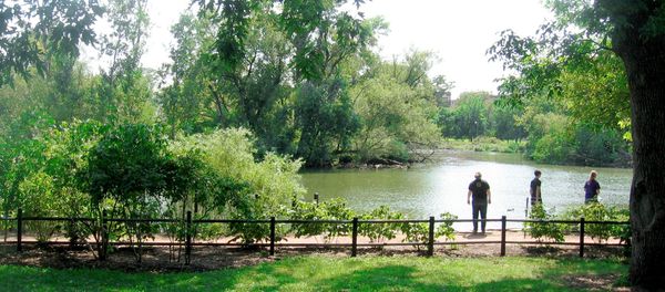 Human Head in Garbage Bag Found Floating in Chicago Park Human Head in Garbage Bag Found Floating in Chicago Park - Sputnik International