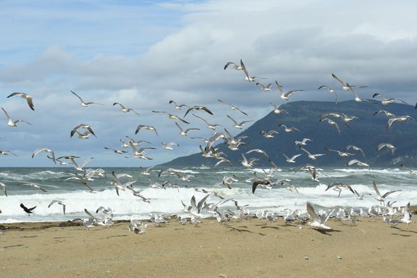 The Breathtaking Landscape of Russia's Mysterious Kuril Islands - Sputnik International