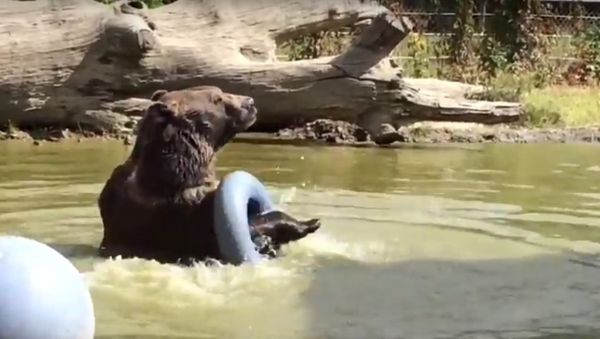 Oh, tube-toy.....I love you... - Sputnik International