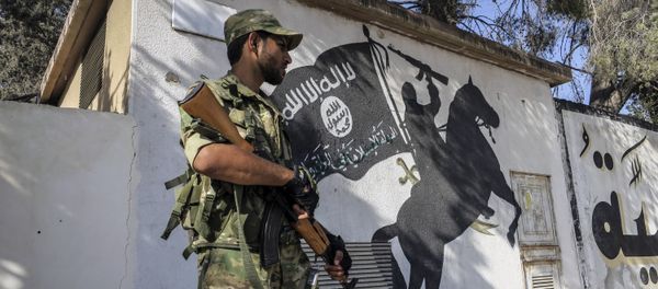 A Free Syrian Army fighter stands in front of a painting left by IS militants in Jarablus, Syria (File) - Sputnik International