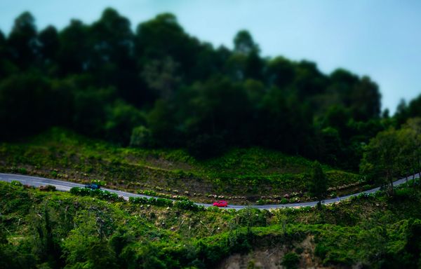Jewel of Azores: The Pristine Beauty of Sao Miguel Island - Sputnik International