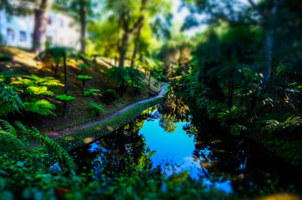 Jewel of Azores: The Pristine Beauty of Sao Miguel Island - Sputnik International