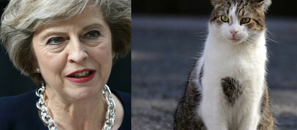 Theresa May and Larry the Cat Theresa May and Larry the Cat - Sputnik International