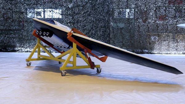 The new attack drone called Saegheh or Thunderbolt in an undisclosed location in Iran. - Sputnik International