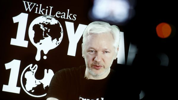 Julian Assange, Founder and Editor-in-Chief of WikiLeaks speaks via video link during a press conference on the occasion of the ten year anniversary celebration of WikiLeaks in Berlin, Germany, October 4, 2016. Julian Assange, Founder and Editor-in-Chief of WikiLeaks speaks via video link during a press conference on the occasion of the ten year anniversary celebration of WikiLeaks in Berlin, Germany, October 4, 2016. - Sputnik International