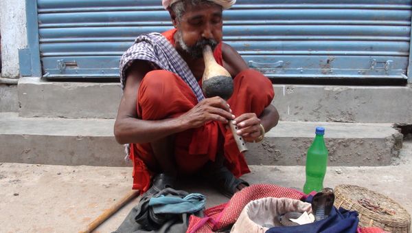 A local Snake Charmer from North India, referred to as 'Sapera Baba' - Sputnik International