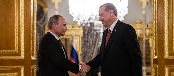 Russian President Vladimir Putin (L) shakes hand with Turkish President Recep Tayyip Erdogan (R) during a press conference on October 10, 2016 in Istanbul Russian President Vladimir Putin (L) shakes hand with Turkish President Recep Tayyip Erdogan (R) during a press conference on October 10, 2016 in Istanbul - Sputnik International