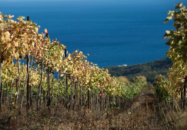 Fall in Crimea - Sputnik International