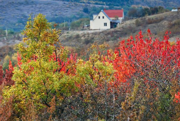 Fall in Crimea - Sputnik International