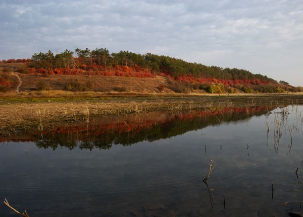 Fall in Crimea - Sputnik International