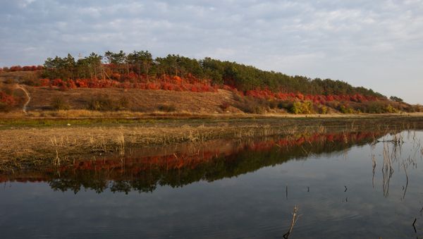 Fall in Crimea Fall in Crimea - Sputnik International