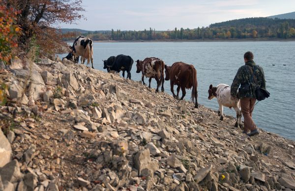 Fall in Crimea - Sputnik International