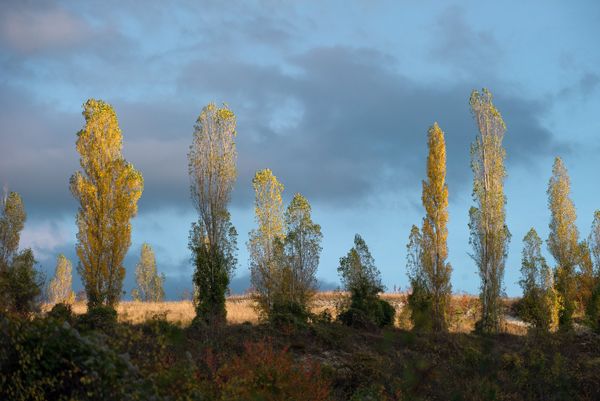 Fall in Crimea - Sputnik International