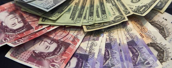 A cashier displays multiple denomination US dollar and British pound Sterling bank notes - Sputnik International