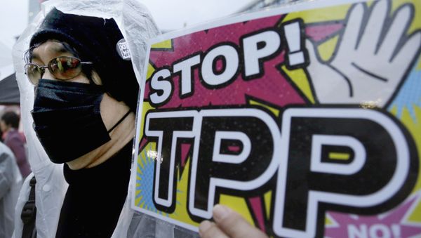 A protester holds a placard during a rally against the Trans-Pacific Partnership (TPP) in Tokyo A protester holds a placard during a rally against the Trans-Pacific Partnership (TPP) in Tokyo - Sputnik International