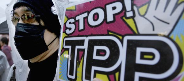 A protester holds a placard during a rally against the Trans-Pacific Partnership (TPP) in Tokyo A protester holds a placard during a rally against the Trans-Pacific Partnership (TPP) in Tokyo - Sputnik International
