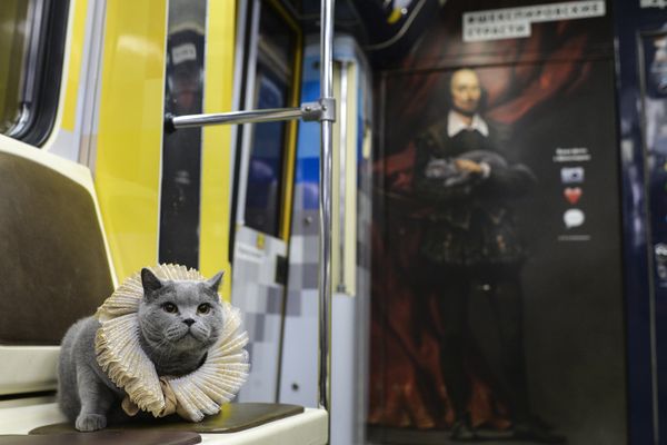 British Cat Becomes a Passenger on Shakespeare's Train in Moscow Metro - Sputnik International