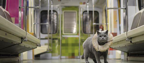 British Cat Becomes a Passenger on Shakespeare's Train in Moscow Metro - Sputnik International