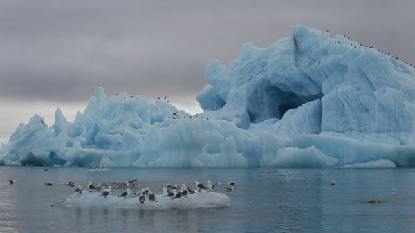 Iceberg near Hooker Island, Franz Josef Land, Russia - Sputnik International