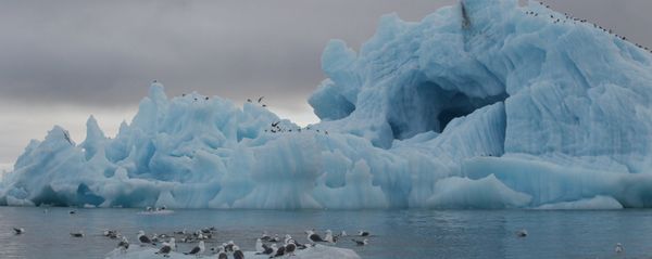 Iceberg near Hooker Island, Franz Josef Land, Russia Iceberg near Hooker Island, Franz Josef Land, Russia - Sputnik International
