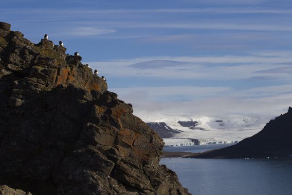 Hooker Island, Franz Josef Land, Russia - Sputnik International
