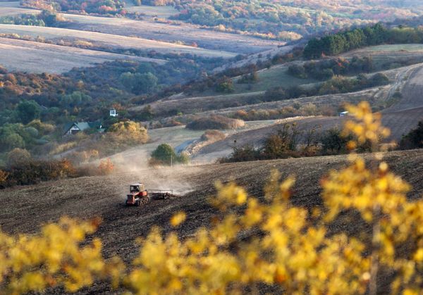 This Week in Pictures This Week in Pictures - Sputnik International