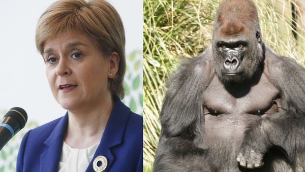 Nicola Sturgeon and Kumbuka - Sputnik International