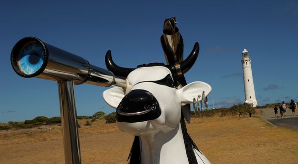 In this photo taken on March 28, 2012, Moorine Marauder a life-sized fibre glass cow, welcomes visitors to the grounds surrounding the Cape Leeuwin Lighthouse (R) in the south-west region of Western Australia. In this photo taken on March 28, 2012, Moorine Marauder a life-sized fibre glass cow, welcomes visitors to the grounds surrounding the Cape Leeuwin Lighthouse (R) in the south-west region of Western Australia. - Sputnik International