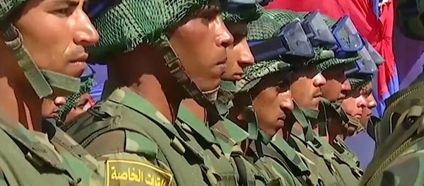 'Defenders of Friendship-2016' Drills Kick Off in Egypt 'Defenders of Friendship-2016' Drills Kick Off in Egypt - Sputnik International
