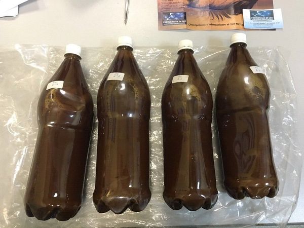 Ayahuasca bottles found in the luggage of Eduardo Chianca Rocha Ayahuasca bottles found in the luggage of Eduardo Chianca Rocha - Sputnik International