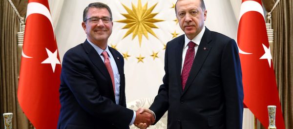 Turkey's President Tayyip Erdogan (R) shakes hands with US Defense Secretary Ash Carter at the Presidential Palace in Ankara, Turkey, October 21, 2016. - Sputnik International