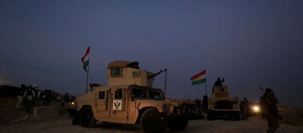 A kurdish peshmerga fighter look over as he stands on the top of the humvee in front of Islamic State position outside the town of Naweran near in Mosul, Iraq A kurdish peshmerga fighter look over as he stands on the top of the humvee in front of Islamic State position outside the town of Naweran near in Mosul, Iraq - Sputnik International