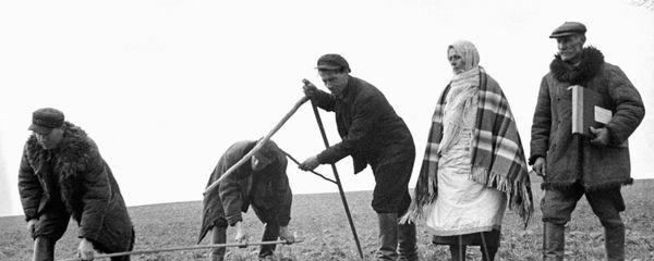 Peasants of the village Sobolevo divide land taken from Prince Ljubomirsky, a wealthy Polish landlord, October 1939, in Soviet territory formerly belonging to interwar Poland. - Sputnik International