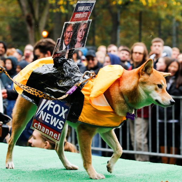 A dog dressed as Fox News channel with the pictures of Democratic U.S. presidential nominee Hillary Clinton (R) and Republican U.S. presidential nominee Donald Trump takes part in the annual halloween dog parade at Manhattan's Tompkins Square Park in New York, U.S. October 22, 2016 A dog dressed as Fox News channel with the pictures of Democratic U.S. presidential nominee Hillary Clinton (R) and Republican U.S. presidential nominee Donald Trump takes part in the annual halloween dog parade at Manhattan's Tompkins Square Park in New York, U.S. October 22, 2016 - Sputnik International