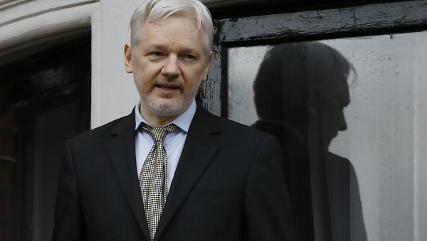 Wikileaks founder Julian Assange speaks from the balcony of the Ecuadorean Embassy in London (File) Wikileaks founder Julian Assange speaks from the balcony of the Ecuadorean Embassy in London (File) - Sputnik International