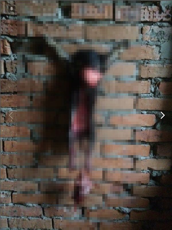 A photo of animal cruelty in Khabarovsk uploaded to a social network by the suspect - Sputnik International