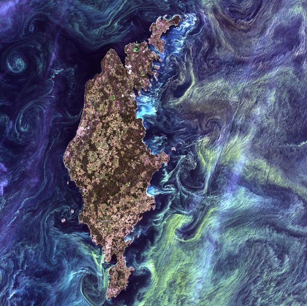 Flash Flood of Colors: Unique Pictures of Our Planet From Space - Sputnik International