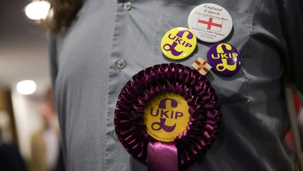 A supporter of the anti-EU UK Independence Party (UKIP) wears a rossette and badges at the UKIP Autumn Conference in Bournemouth, on the southern coast of England, on September 16, 2016.  - Sputnik International