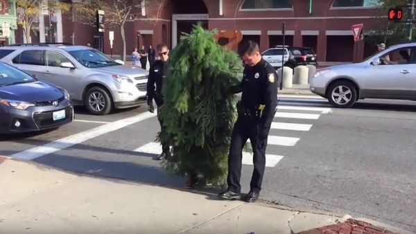 Funny Moment, Two Cops Arrest A Tree Blocking the Traffic in Portland - Sputnik International