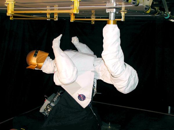 Not only are people trying to take over space; humanoid robots do, too! This NASA file image made on March 2004 shows Robonaut B, a robot built with human-like hands and television camera eyes. The project is a collaborative effort with the Defense Advanced Research Projects Agency (DARPA), and has been under development at Johnson Space Center (JSC) for several years. It is a self-contained robot controlled remotely by a human operator. Robonaut B also has the option of rolling around Earth on a modified two-wheeled scooter or grappling the International Space Station with what researchers call a space leg,” as seen in this image. Robonaut uses a head, torso, arms and dexterous hands to perform tasks using the same tools used by human spacewalkers. Not only are people trying to take over space; humanoid robots do, too! This NASA file image made on March 2004 shows Robonaut B, a robot built with human-like hands and television camera eyes. The project is a collaborative effort with the Defense Advanced Research Projects Agency (DARPA), and has been under development at Johnson Space Center (JSC) for several years. It is a self-contained robot controlled remotely by a human operator. Robonaut B also has the option of rolling around Earth on a modified two-wheeled scooter or grappling the International Space Station with what researchers call a space leg,” as seen in this image. Robonaut uses a head, torso, arms and dexterous hands to perform tasks using the same tools used by human spacewalkers. - Sputnik International