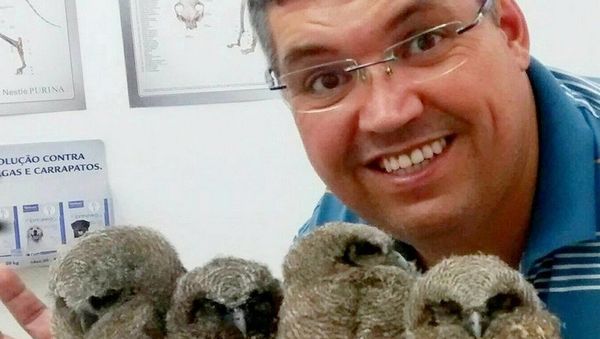 Veterinary Jefferson milk with corujinhas of the woods redeemed in Mogi das Cruzes - Sputnik International