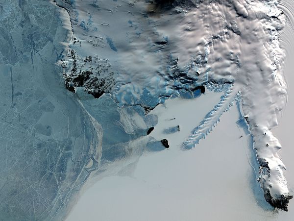 Wild Wonders of Antarctica, Slated for Biggest Marine Reserve - Sputnik International
